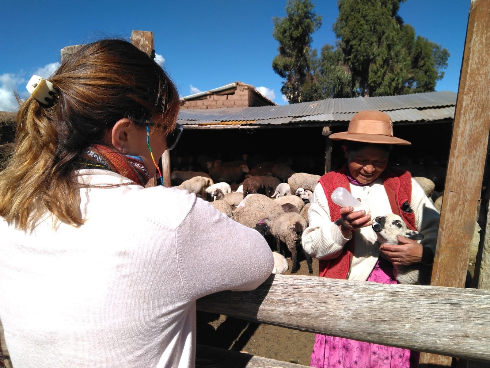 La delegada de Cooperación al Desarrollo se interesa in situ por algunos de los proyectos y programas con los que colabora la Diputación en Perú